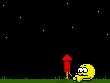 :newy1